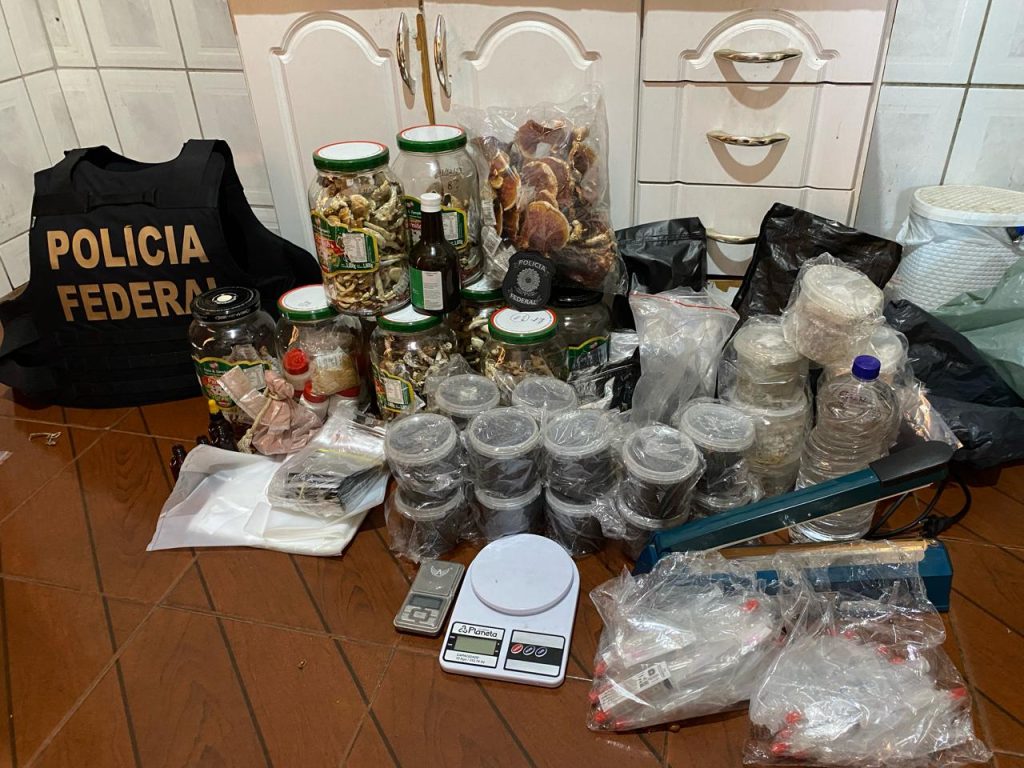 PF apreende cogumelos alucinógenos em BH; produtos eram vendidos na internet