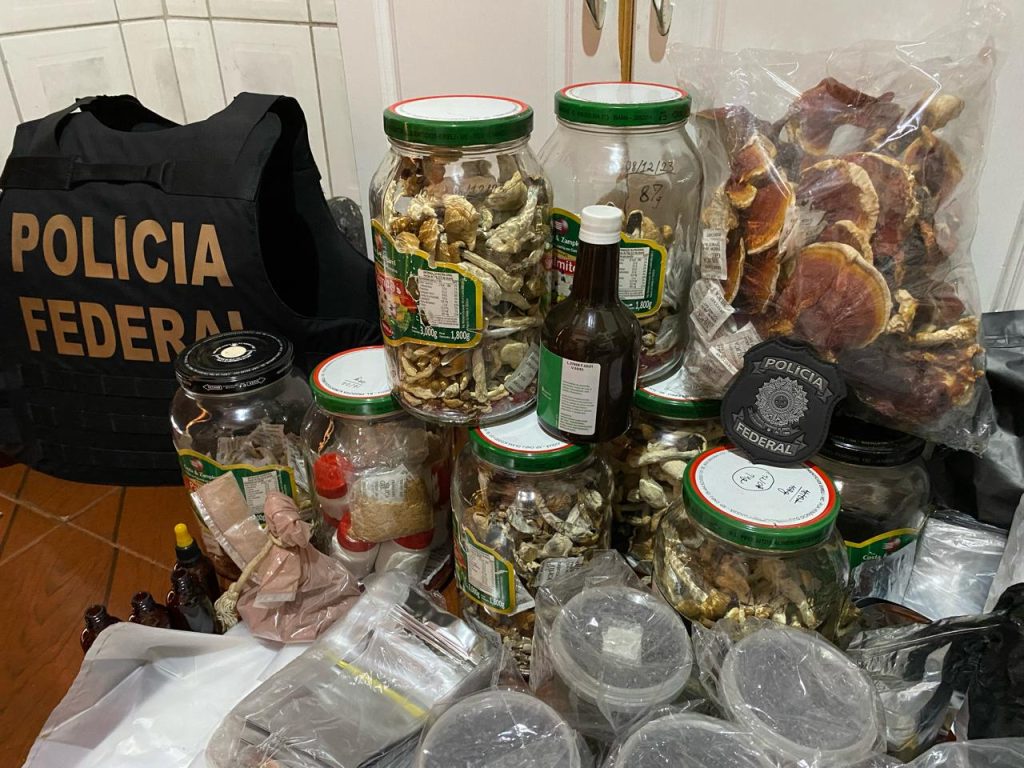 PF apreende cogumelos alucinógenos em BH; produtos eram vendidos na internet