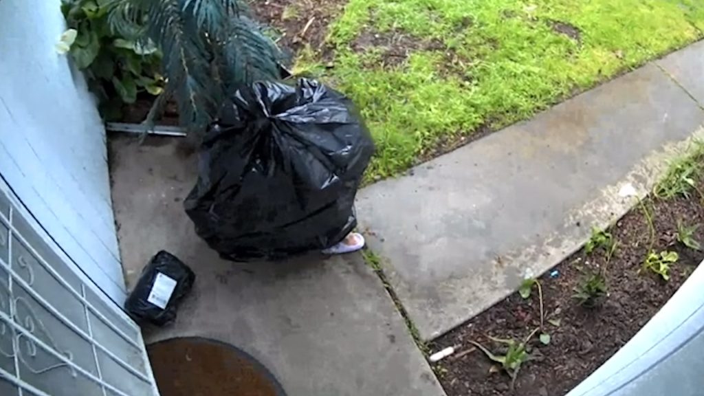 VÍDEO: Ladrão se disfarça de saco de lixo para furtar encomenda nos EUA 2 VÍDEO: Ladrão se disfarça de saco de lixo para furtar encomenda nos EUA
