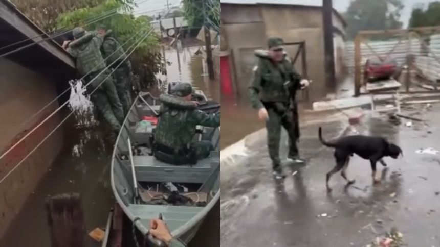 Policiais de Minas resgatam cão ilhado no Rio Grande do Sul