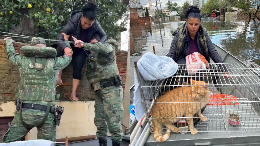 Policiais de Minas resgatam mulher e dois gatos ilhados no Rio Grande do Sul