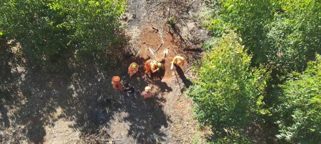 Cão encontra ossada de homem desaparecido em Minas - 918980