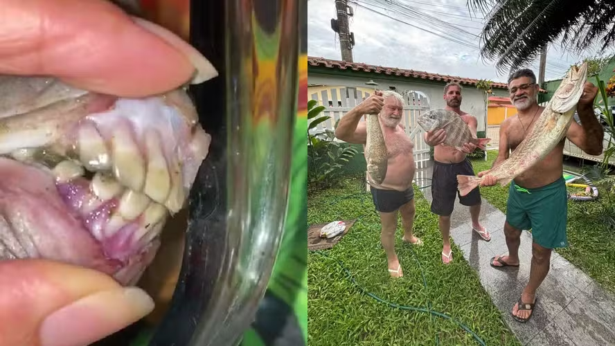 Família de BH pesca peixe com 'dentes humanos' e vídeo viraliza - image 3