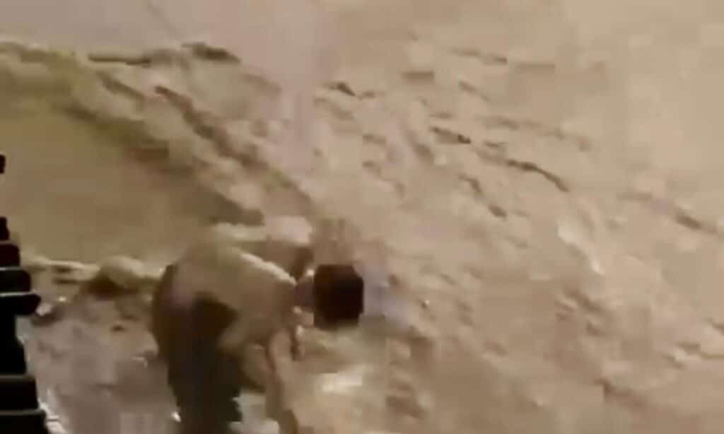 Vídeo: Jovem desentope bueiro para impedir alagamento de casa em Minas 2 Vídeo: Jovem desentope bueiro para impedir alagamento de casa em Minas
