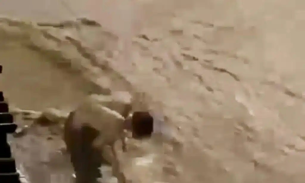 Vídeo: Jovem desentope bueiro para impedir alagamento de casa em Minas