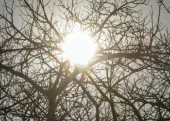 Quase 600 cidades de Minas estão sob alerta de baixa umidade 3 Quase 600 cidades de Minas estão sob alerta de baixa umidade