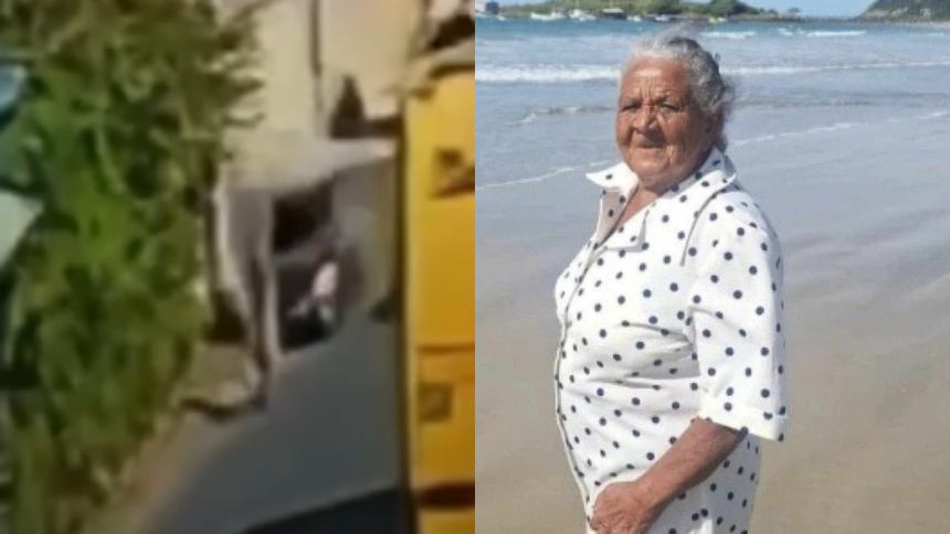 Vídeo: Idosa de 88 anos morre atropelada e motorista foge na Grande BH 2 Idosa de 88 anos morre atropelada e motorista foge na Grande BH