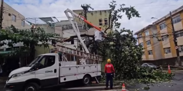 Bombeiros registram 13 ocorrências relacionadas ao temporal na Grande BH