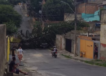 Queda de árvore interdita rua no bairro União, em BH, e deixa moradores sem energia